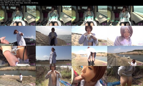 heydouga-4037-1061-NOA-10b741084266e7173.jpeg