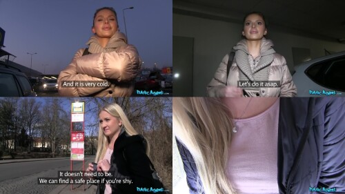 PublicAgent 14.02.28 Dana Harem and Cayla Lyons 1080p